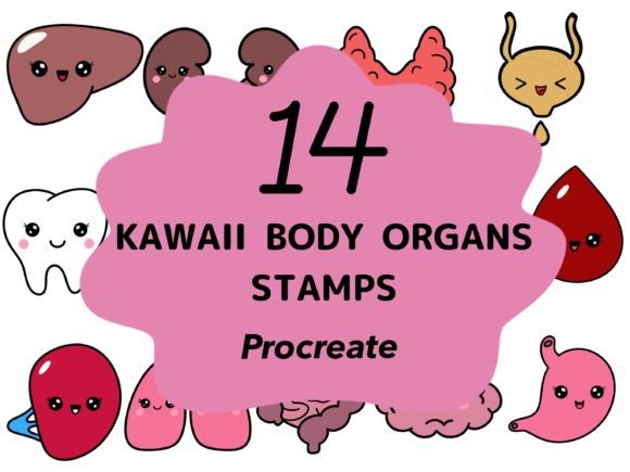Bringing Cute Anatomy to Life with Kawaii Body Organs Stamps Procreate
